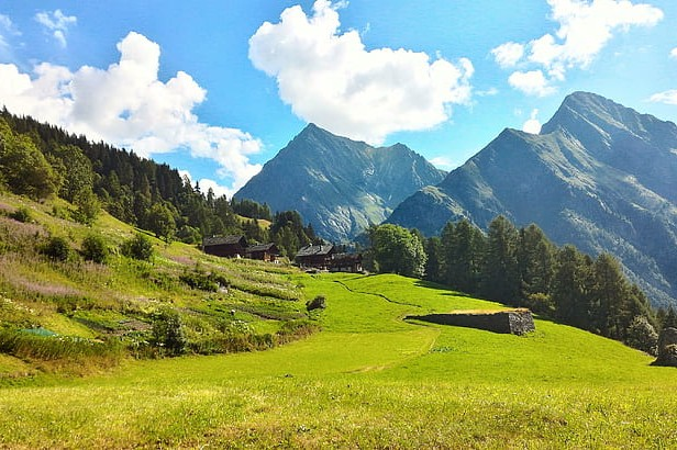 a mountain landscape with grassy, tree-populated hills in the foreground and a blue sky with cumulus clouds in the background