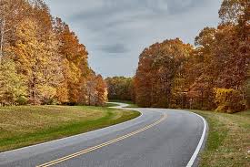curved road in South Moravia