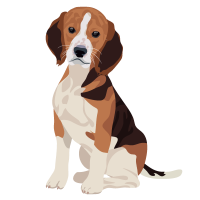 an image of a dog
