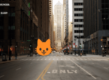 Frame from the animation, showing a cat with a empty bars indicating no food or sleep