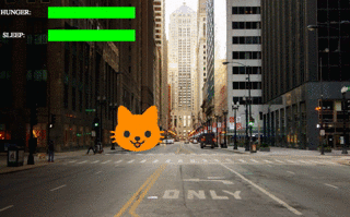 cat decreasing bars